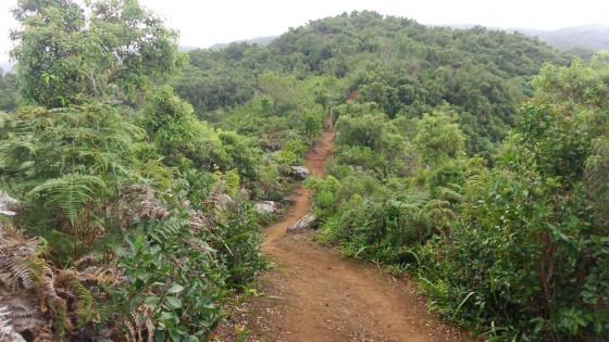 Le sentier