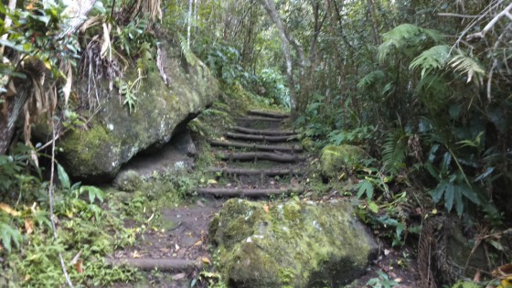 Le sentier