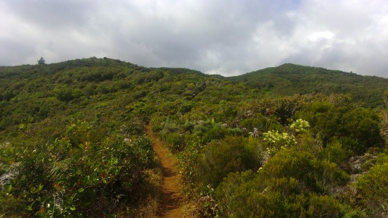Le sentier