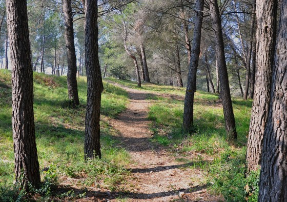 Le sentier