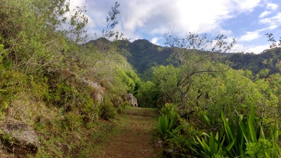 Le sentier