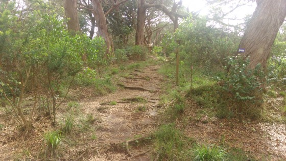 Le sentier