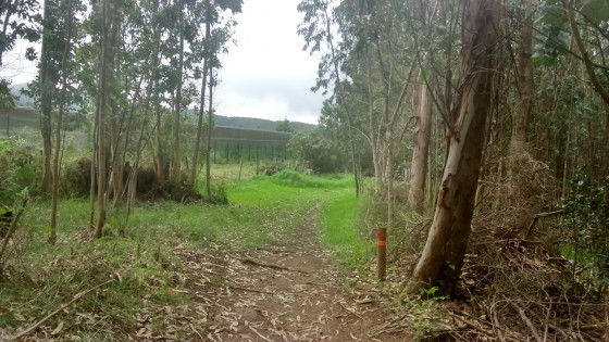Le sentier