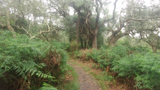 Le sentier