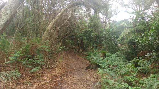 Le sentier