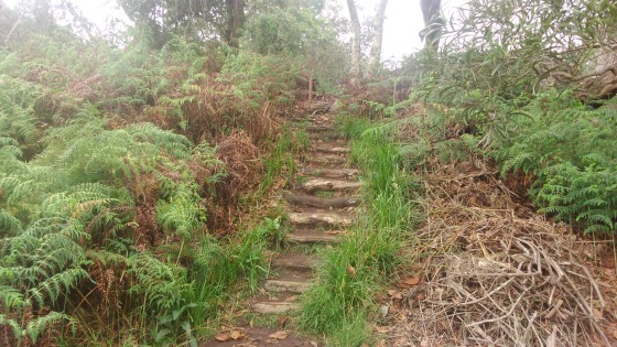 Le sentier