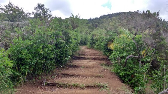 Le sentier