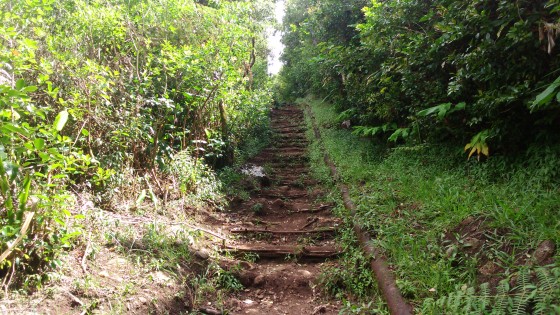 Le sentier