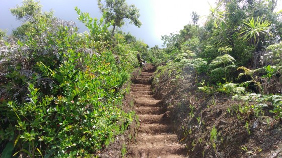 Le sentier