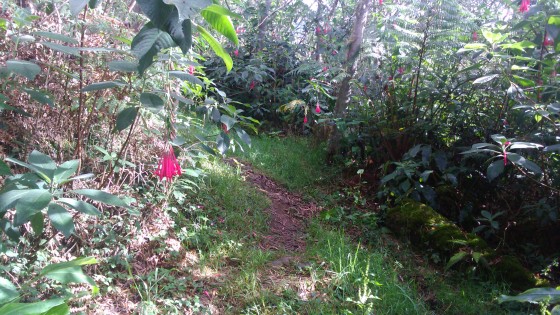 Le sentier