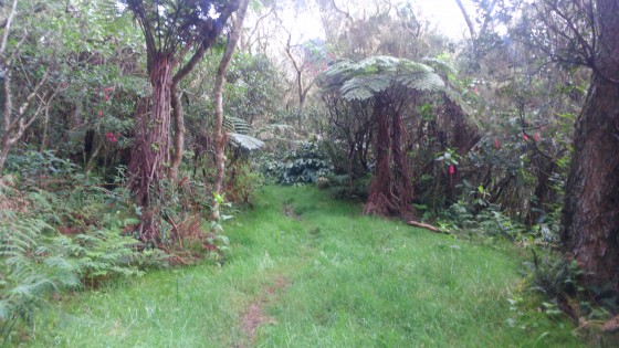 Le sentier