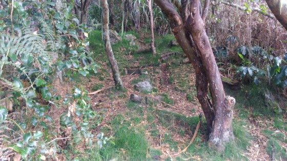 Le sentier