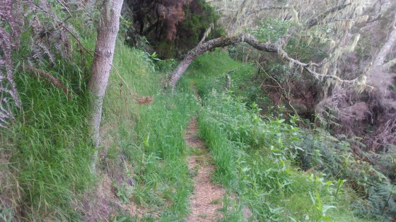Le sentier