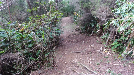 Le sentier