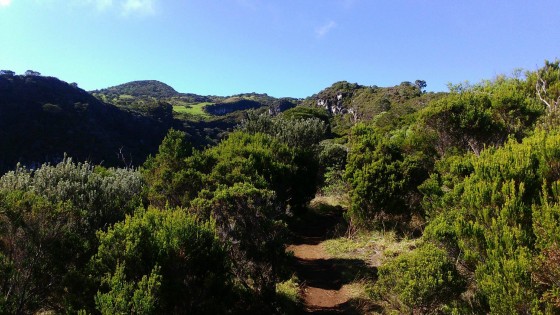Le sentier