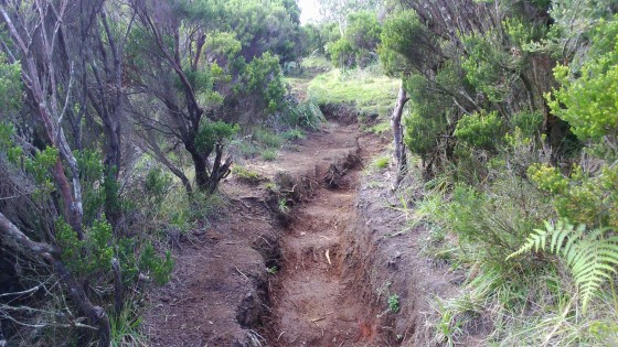 Le sentier