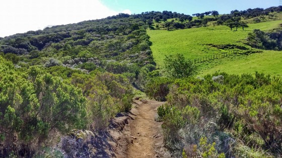 Le sentier