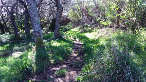 Le sentier