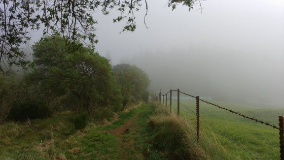 Le sentier