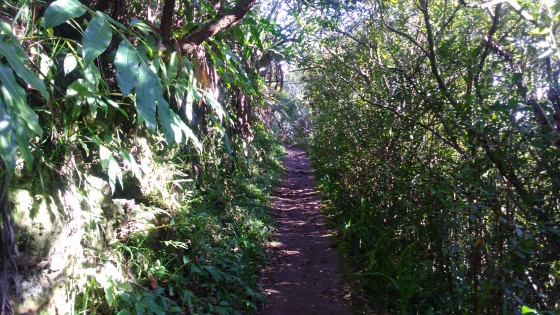 Le sentier