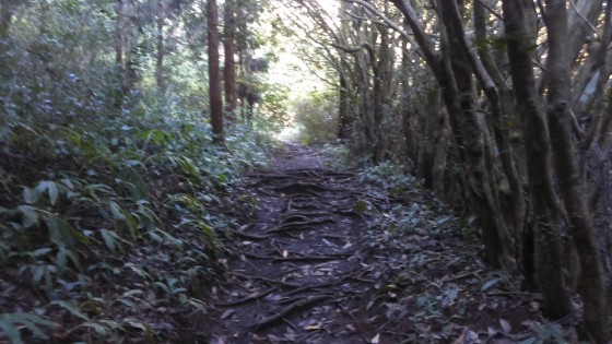 Le sentier