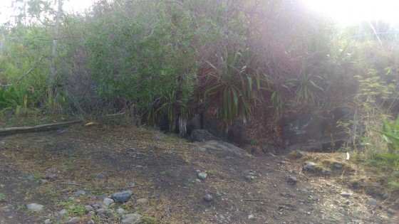 Le sentier
