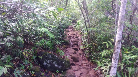 Le sentier