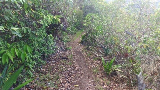 Le sentier