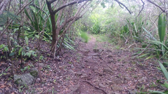 Le sentier