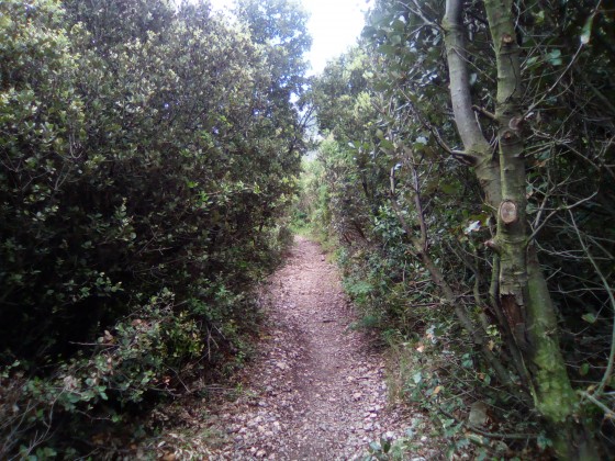 le sentier