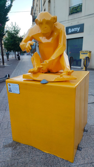 Le singe cassant un caillou
