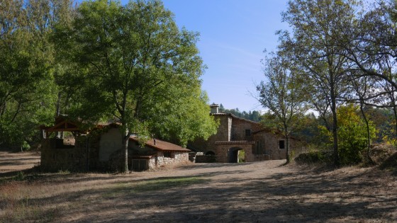 Le site de Saint-Sorny