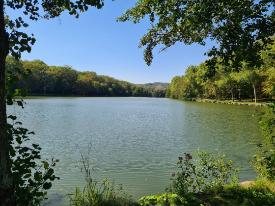 Le site des Lacs de la Folie à Contrexéville