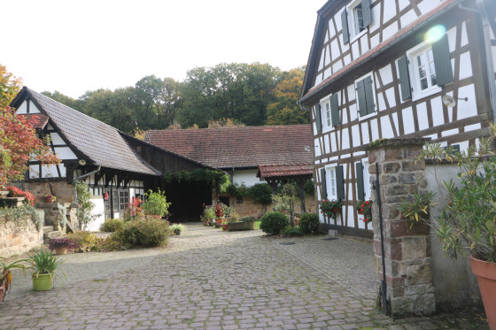 Le site du moulin à huile d\'Oelmuehle