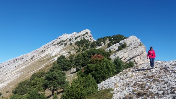 Le sommet de Chamechaude