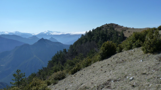 Sommet en vue