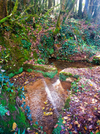 Le source et fontaine, avant d\'arrivée à Cazes