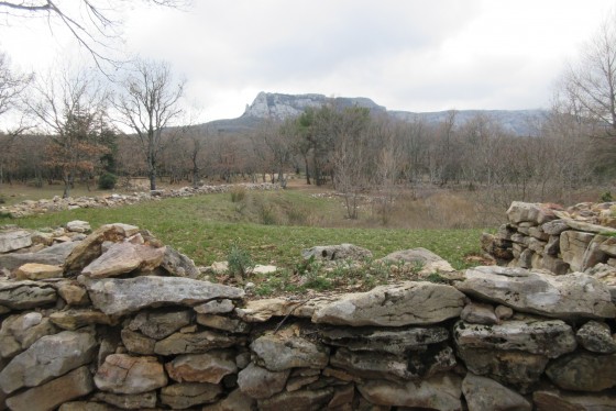 Le supposé bassin de rétention
