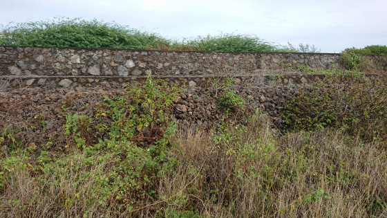 Le talus