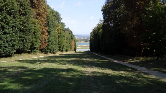 Le Tapis Vert