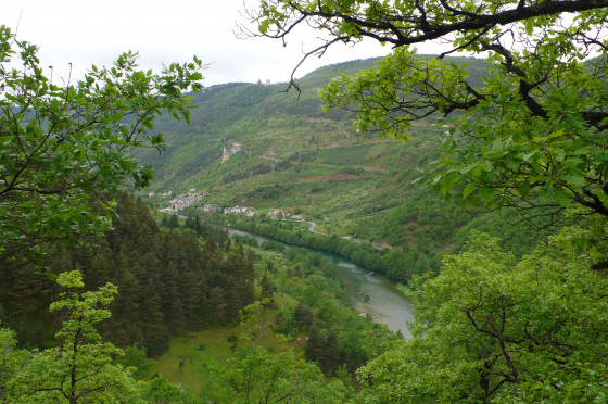 Le Tarn dans la montée à La Caxe