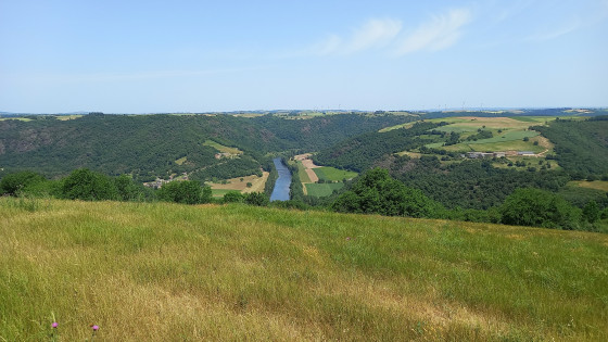 Le Tarn depuis Puech-Cabot