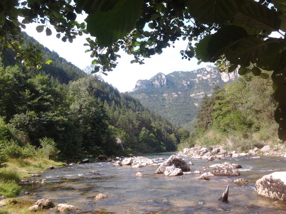 Le Tarn
