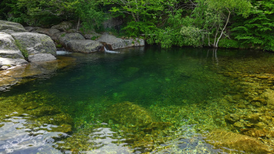 Le Tarn