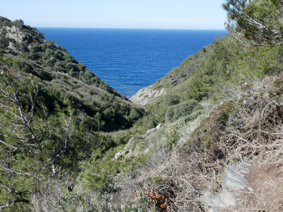 Le vallon de la Fosse