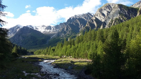 Le torrent de l\'Aigue Blanche