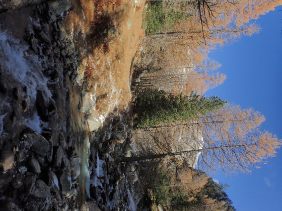 le torrent
