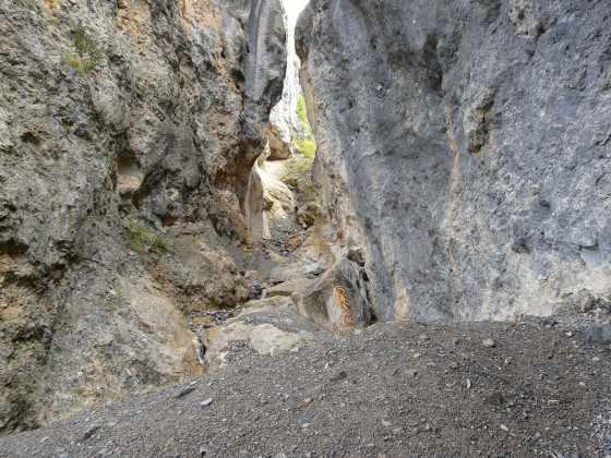Le torrent