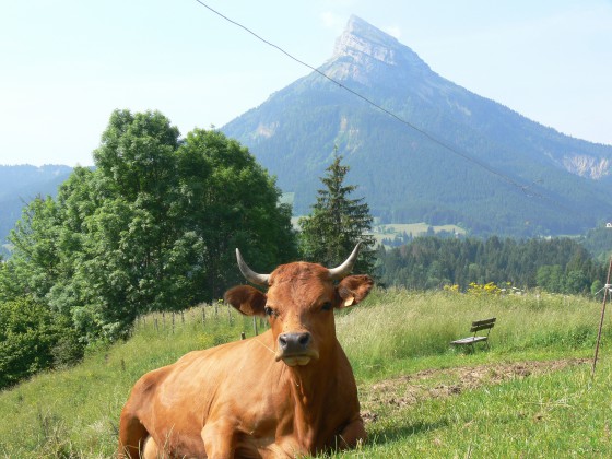 Lors d'une randonnée en Chartreuse, la Chamechaude