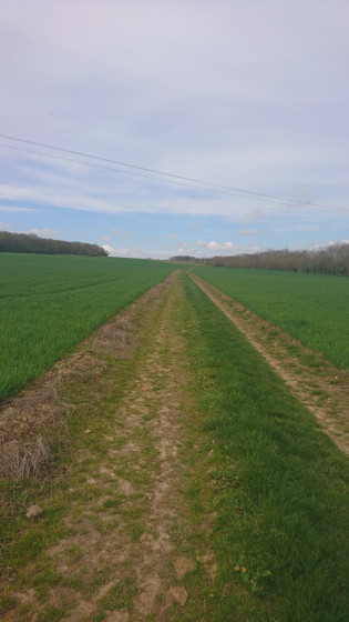 Le trajet
